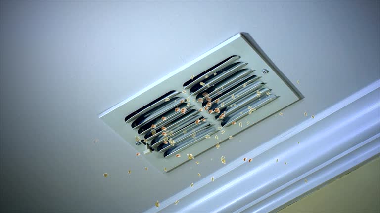 Best HVAC Duct Inspection Services  in Kahuku, HI