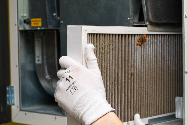Best Affordable Air Duct Cleaning  in Kahuku, HI
