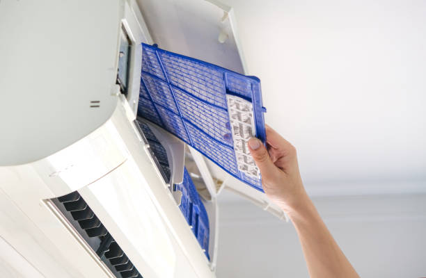 Best Air Duct Mold Removal  in Kahuku, HI
